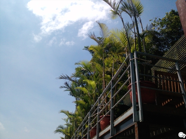 本文章相關圖片