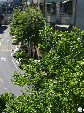 本文章相關圖片