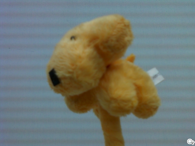 本文章相關圖片