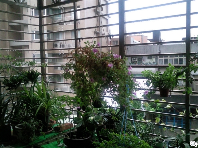 本文章相關圖片