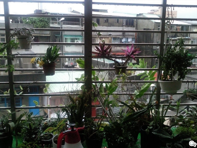 本文章相關圖片