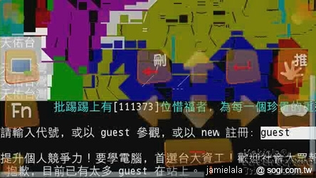 本文章相關圖片