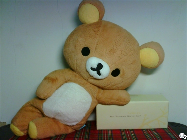 本文章相關圖片