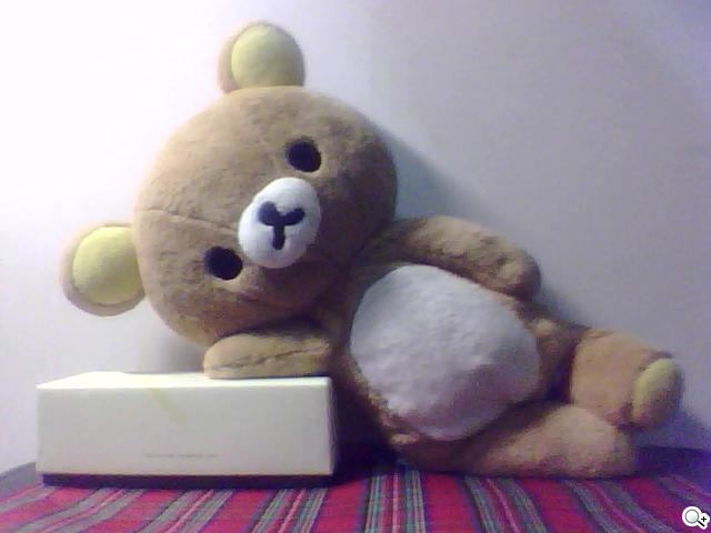 本文章相關圖片