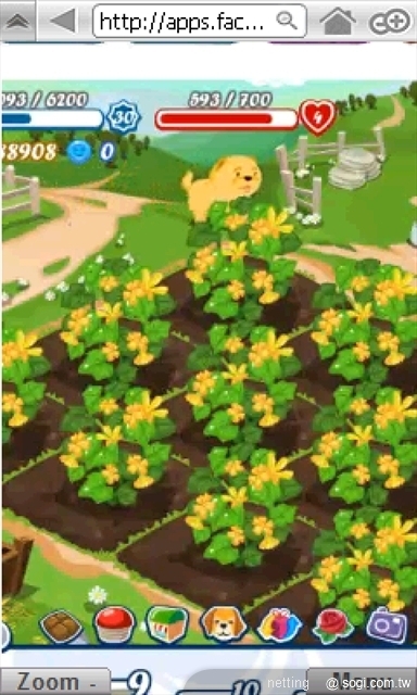 本文章相關圖片