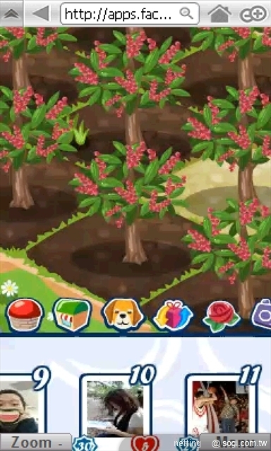 本文章相關圖片