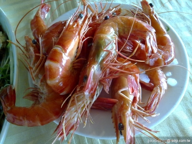 本文章相關圖片