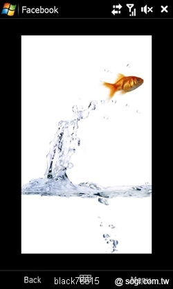 本文章相關圖片