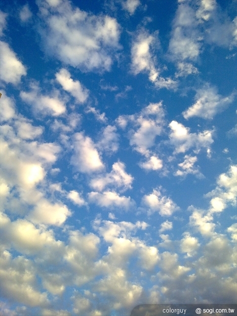 本文章相關圖片