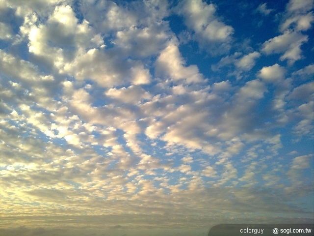 本文章相關圖片