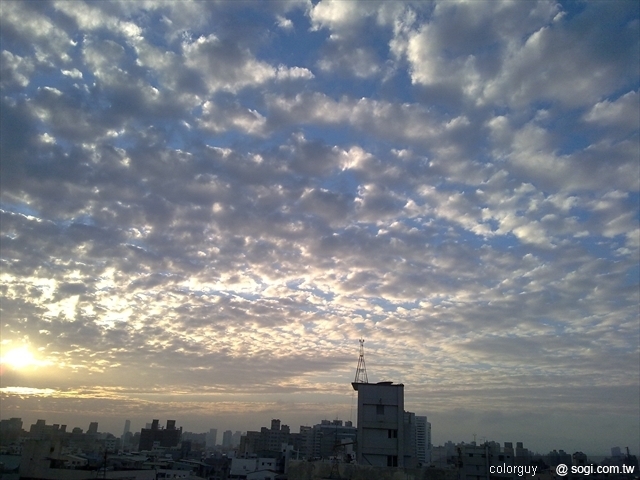 本文章相關圖片