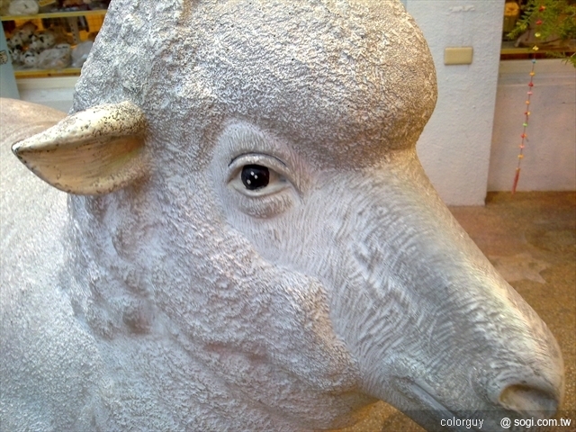 本文章相關圖片