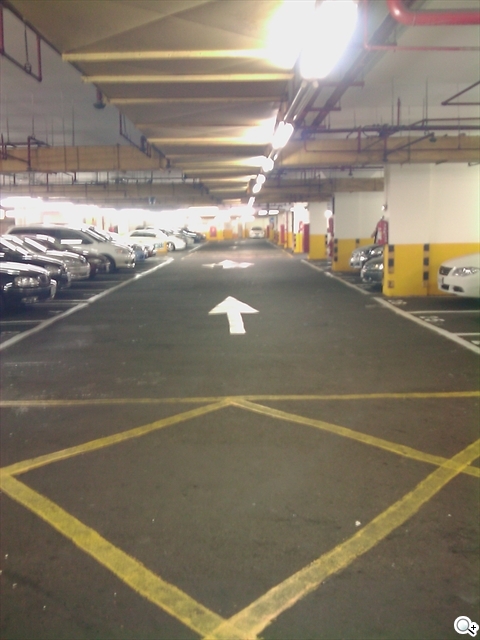 本文章相關圖片