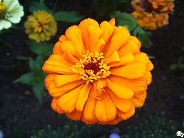 本文章相關圖片