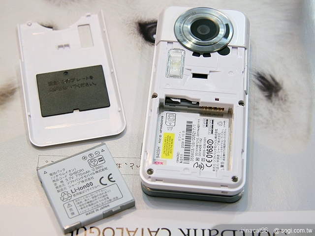 本文章相關圖片