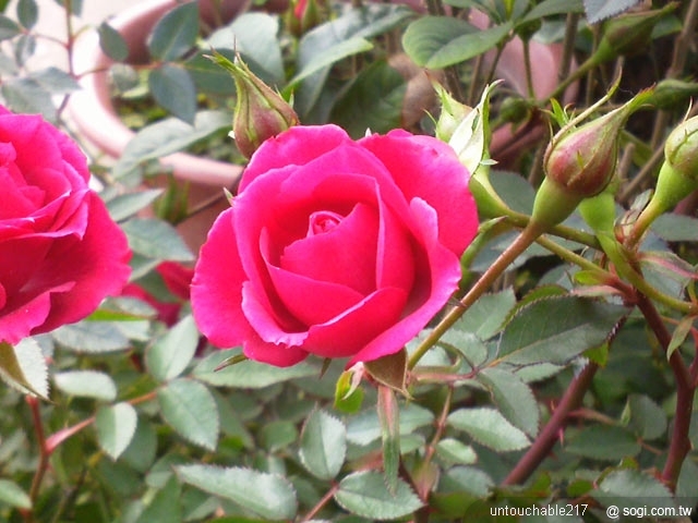 本文章相關圖片