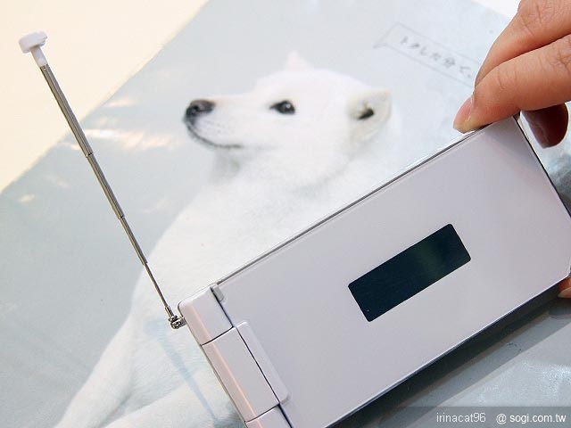 本文章相關圖片