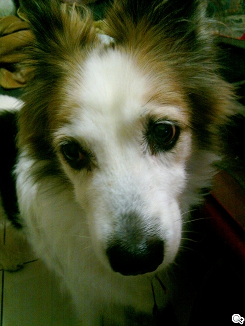 本文章相關圖片