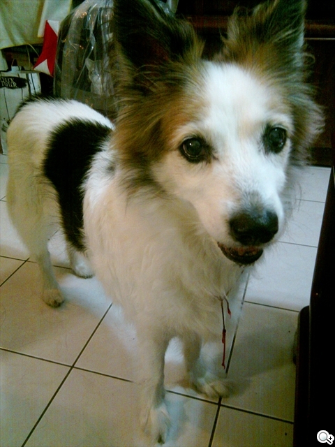 本文章相關圖片