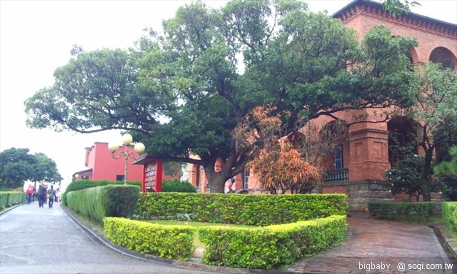 本文章相關圖片