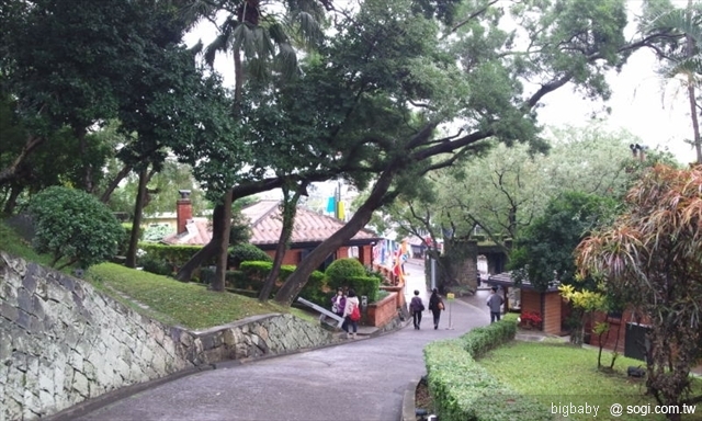 本文章相關圖片