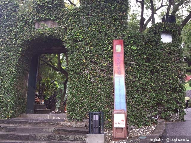 本文章相關圖片