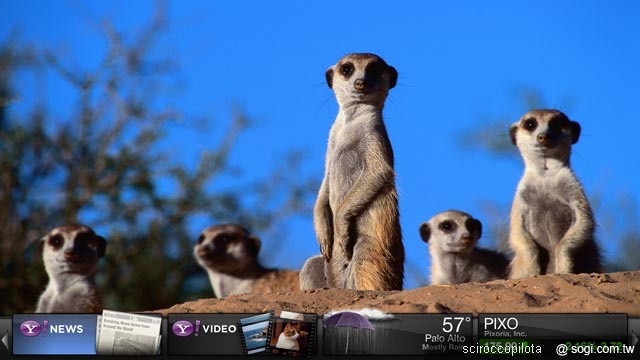 本文章相關圖片