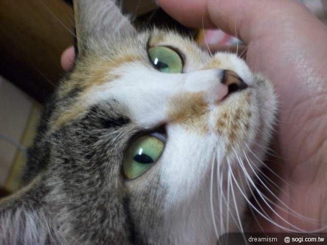 本文章相關圖片