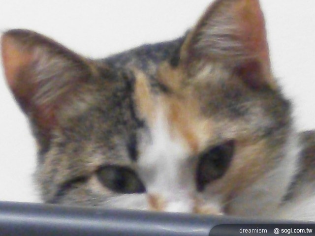 本文章相關圖片