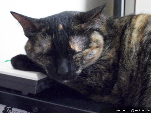 本文章相關圖片