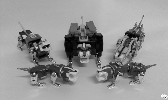 本文章相關圖片