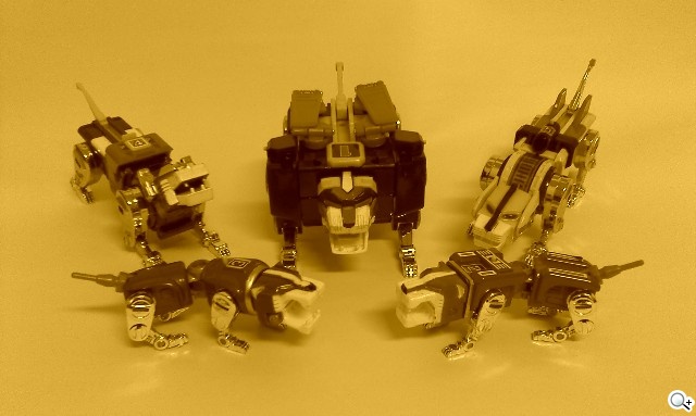 本文章相關圖片