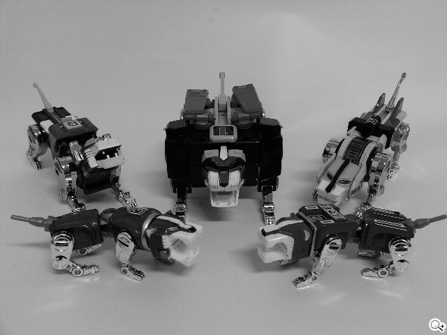 本文章相關圖片