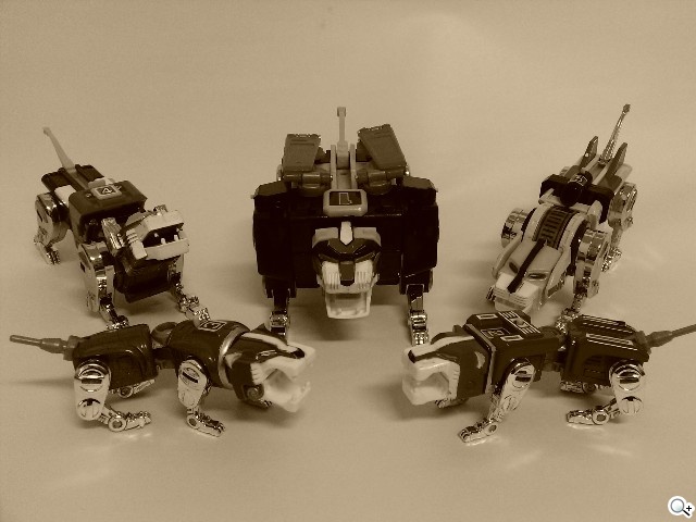 本文章相關圖片