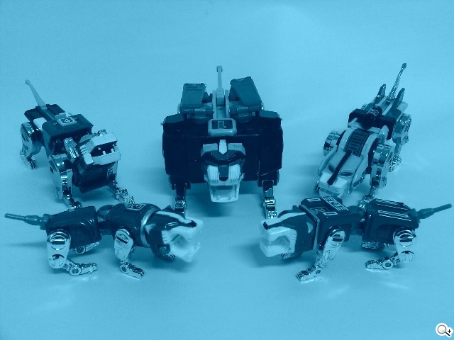 本文章相關圖片