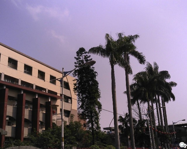 本文章相關圖片