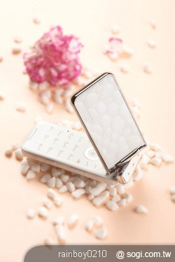 本文章相關圖片