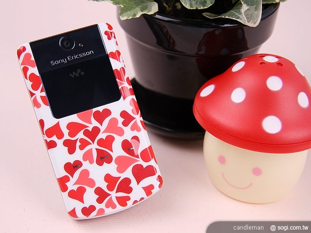 本文章相關圖片