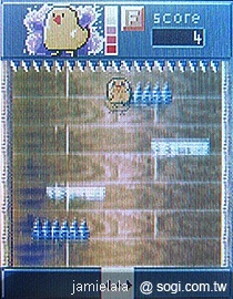 本文章相關圖片