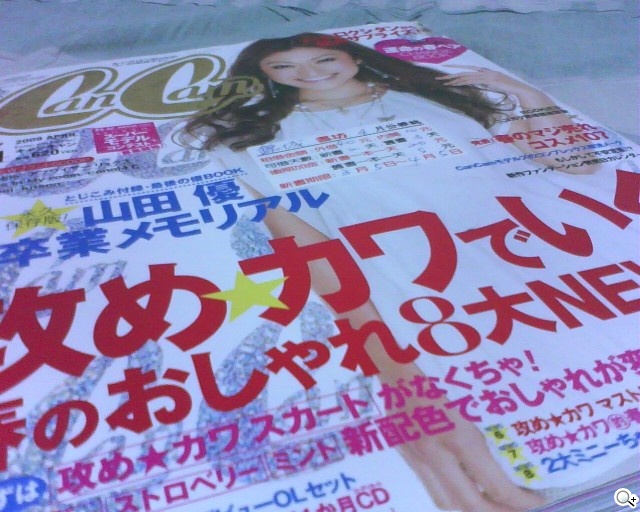 本文章相關圖片