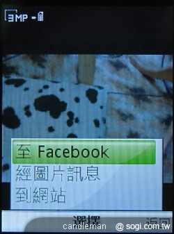 本文章相關圖片