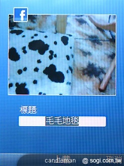 本文章相關圖片