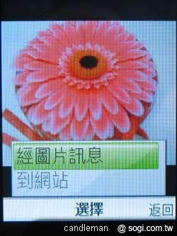 本文章相關圖片