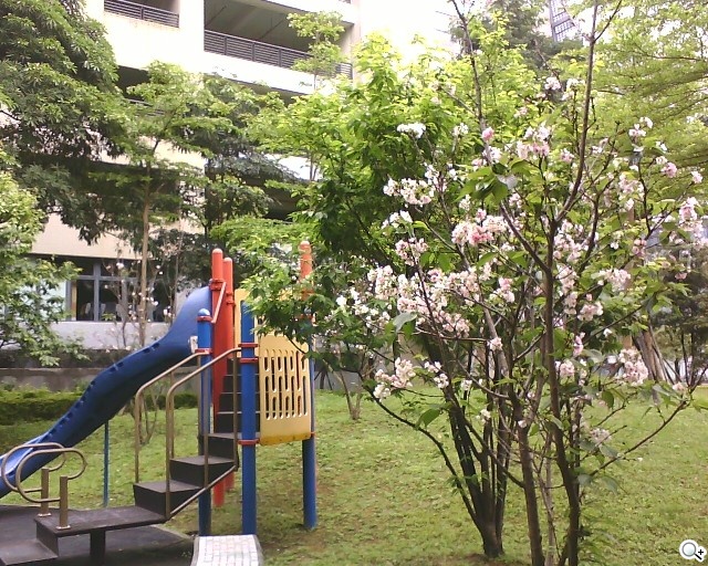 本文章相關圖片