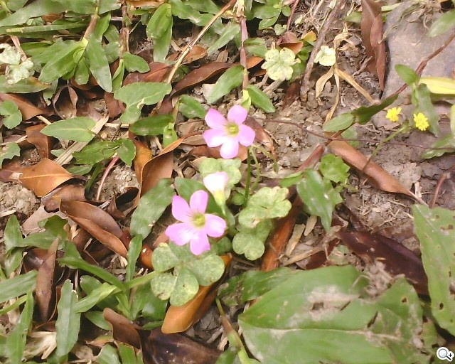 本文章相關圖片