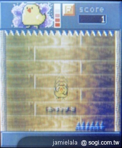 本文章相關圖片