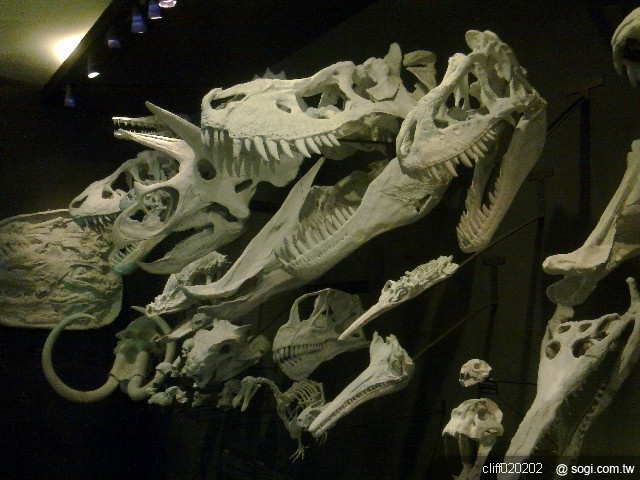 本文章相關圖片