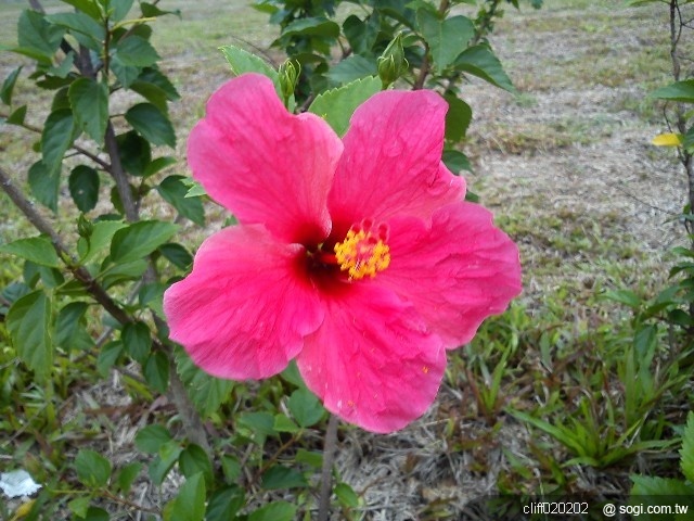 本文章相關圖片