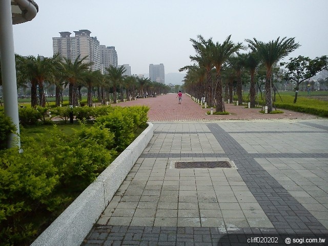 本文章相關圖片