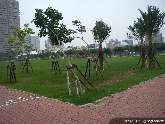 本文章相關圖片